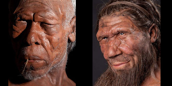 Homo sapiens și Homo neanderthalensis