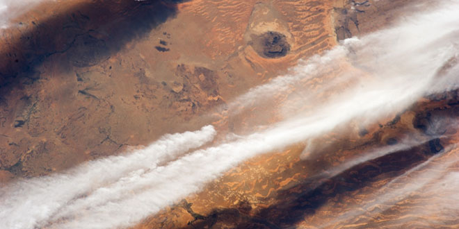 nori în Sahara/Mauritania