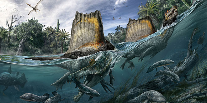 Spinosaurus swim